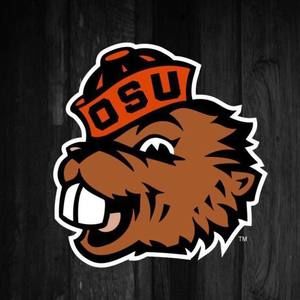 Meet your Posher, Steve